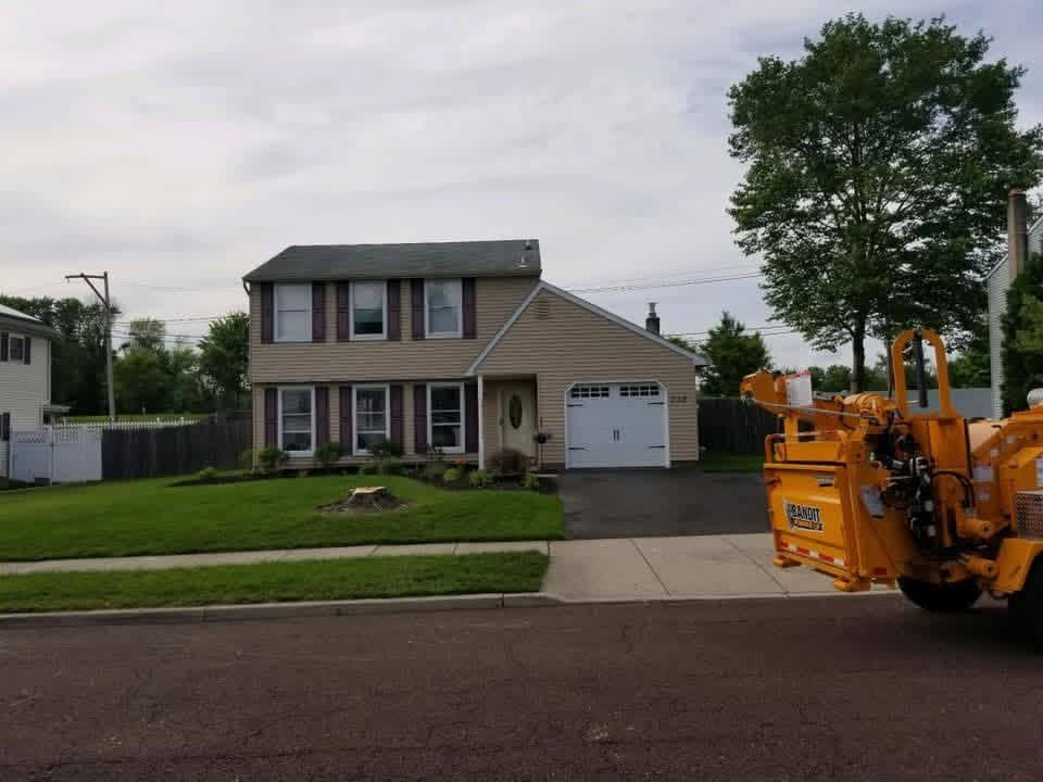 Clean yard with tree fully removed and stump ground