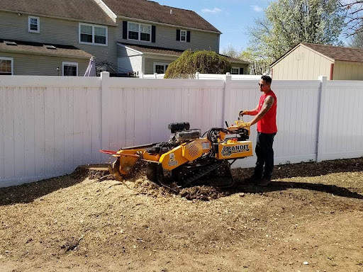 Stump Grinding